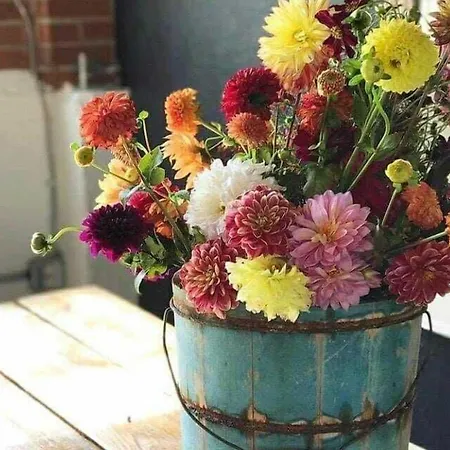 Restaurant Le Gout Des Hotes * Frontignan